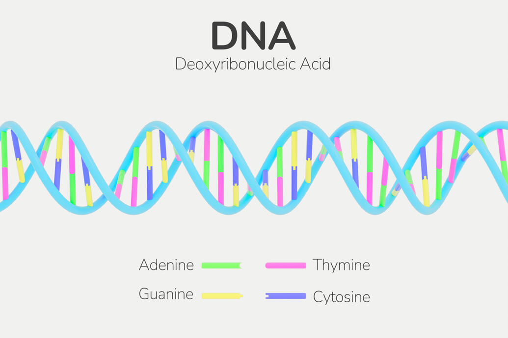 DNA